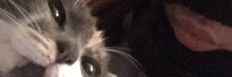 😚 banner