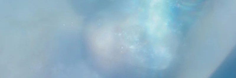 Yoca🦔🫧 banner