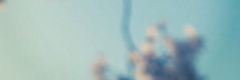 mystopiaz___'s profile banner image