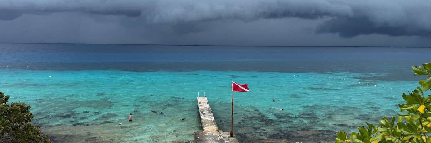 Beth H. Flick banner