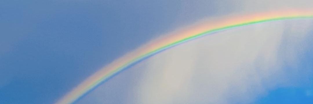 maajanguas's profile banner image