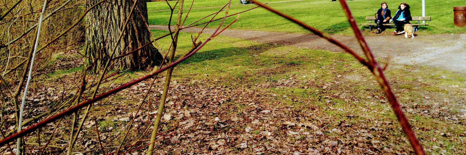 __Laure__'s profile banner image