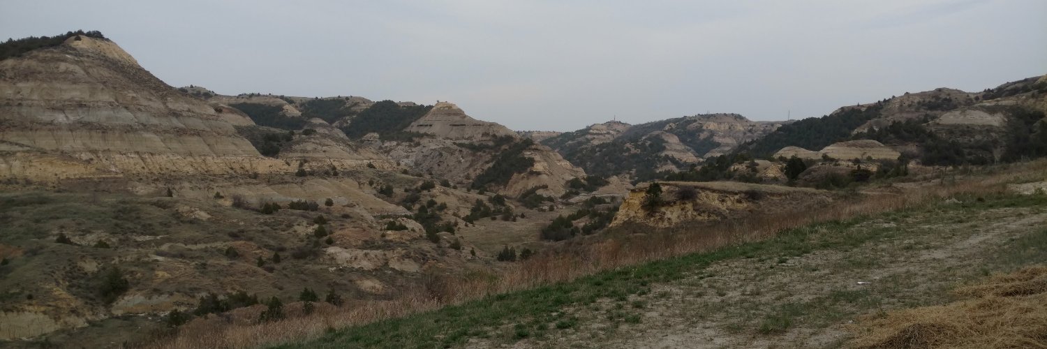 BrainletTheatre banner