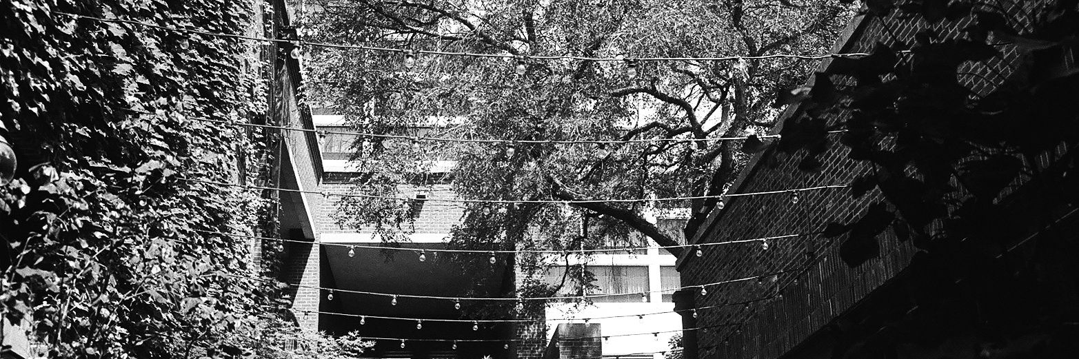 El_Tor0's profile banner image
