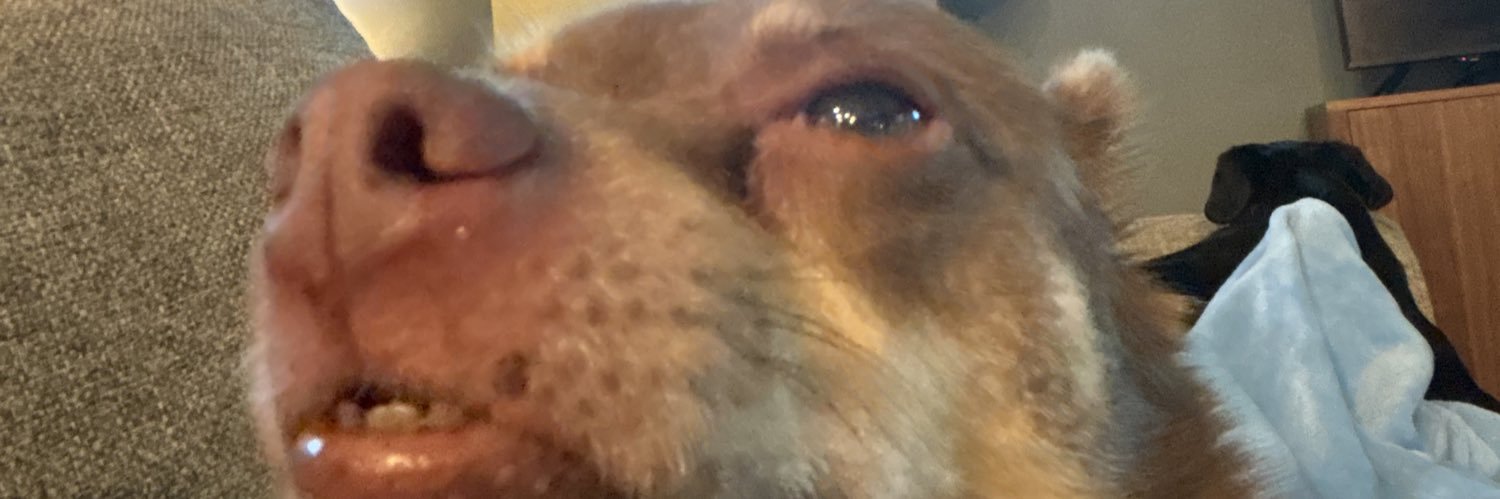 based_leonidas's profile banner image
