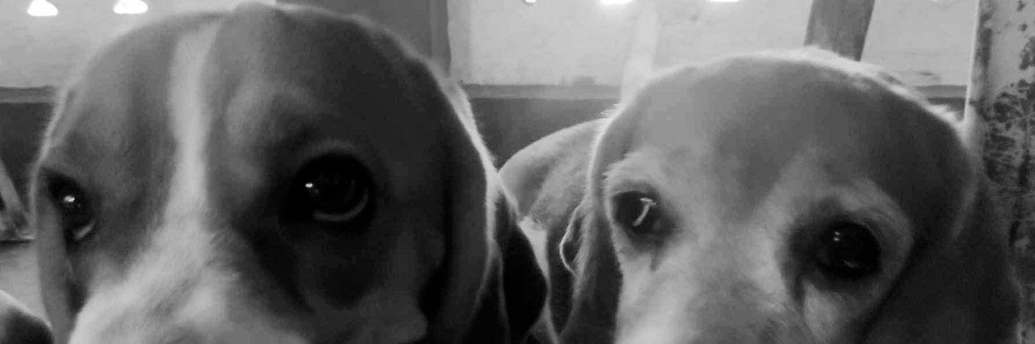 Befroke's profile banner image