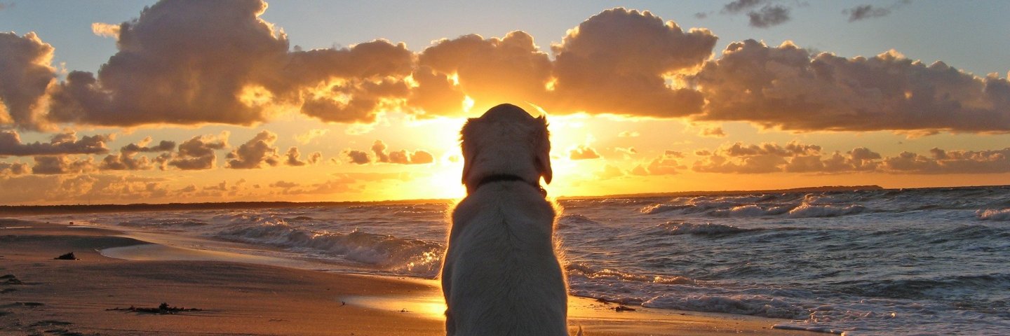 jeean_u's profile banner image