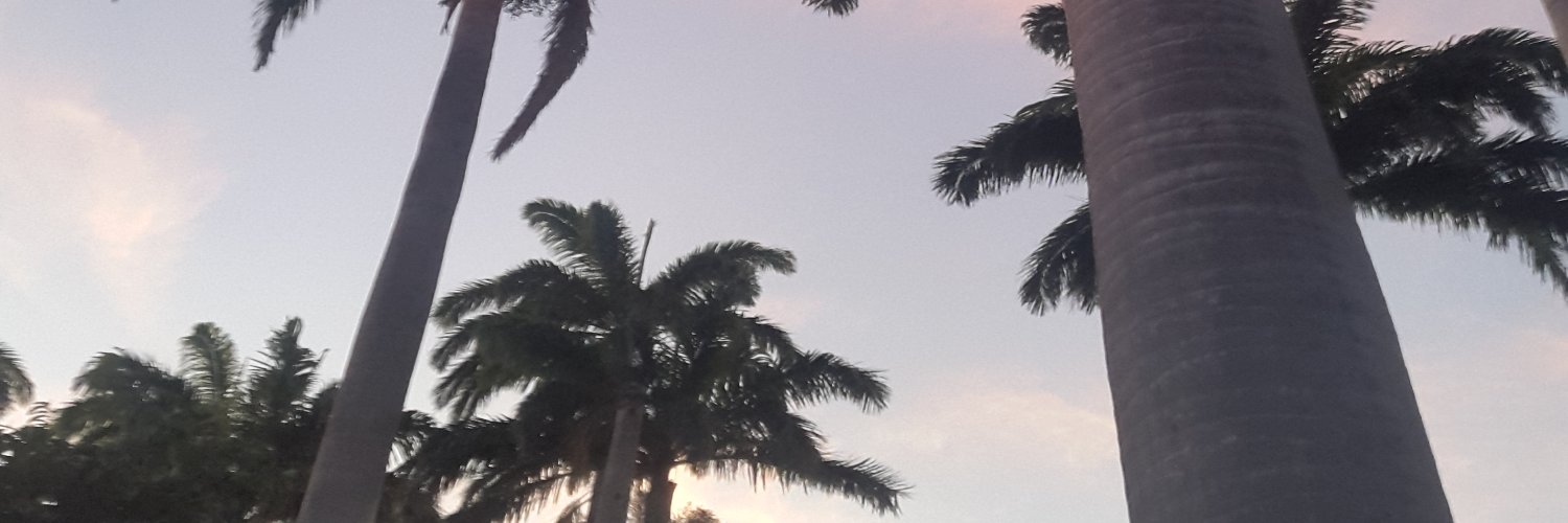 LJesus_C's profile banner image