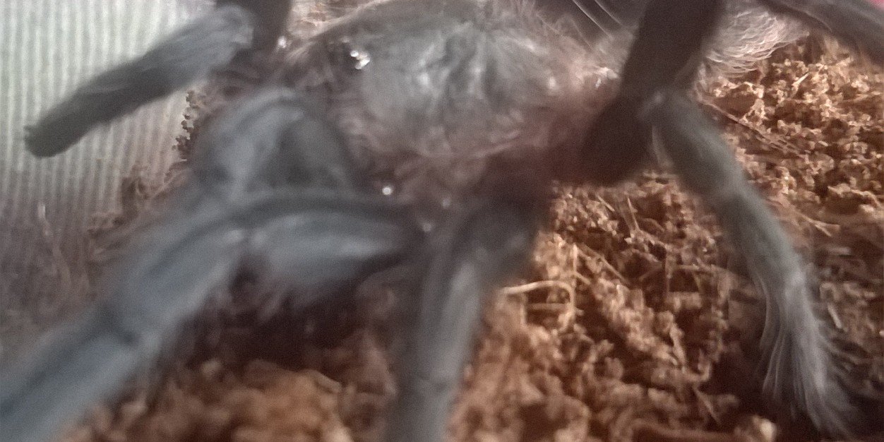 Stew Van Dam☠️🖖 🇺🇦 banner