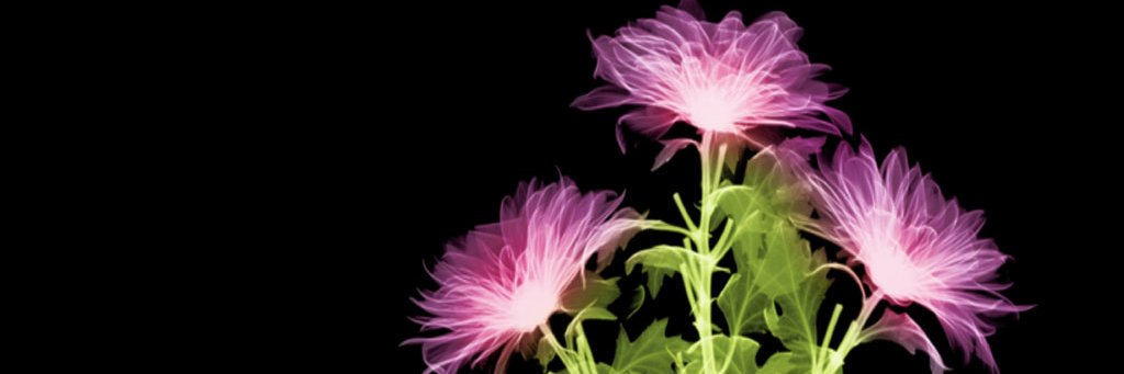 Facade98's profile banner image