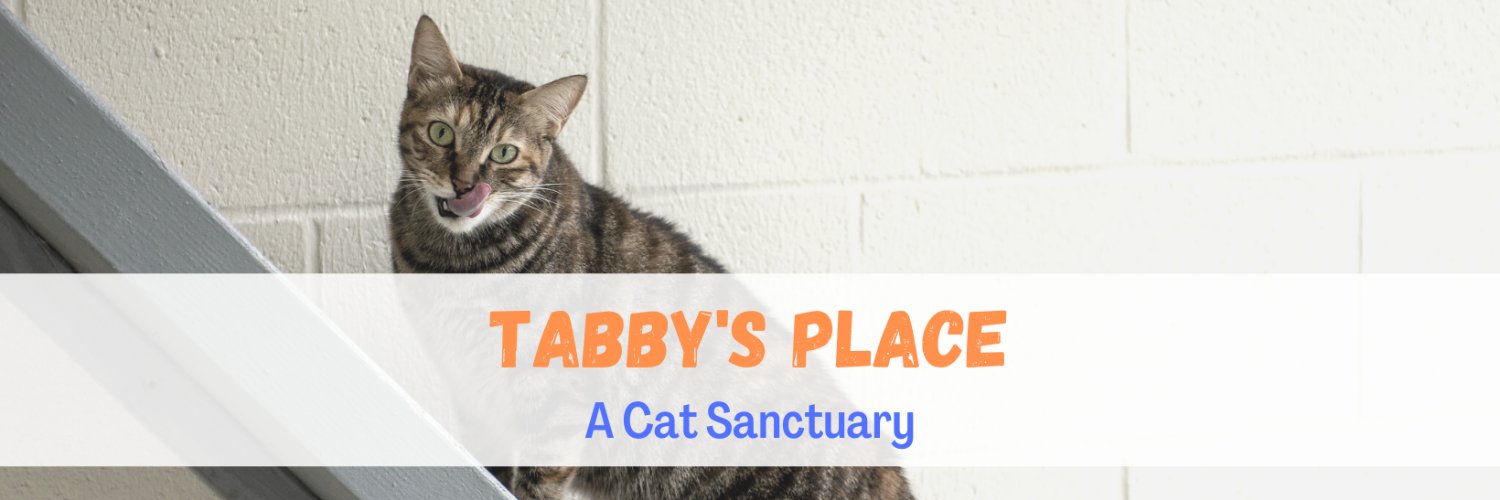 TabbysPlace's profile banner image