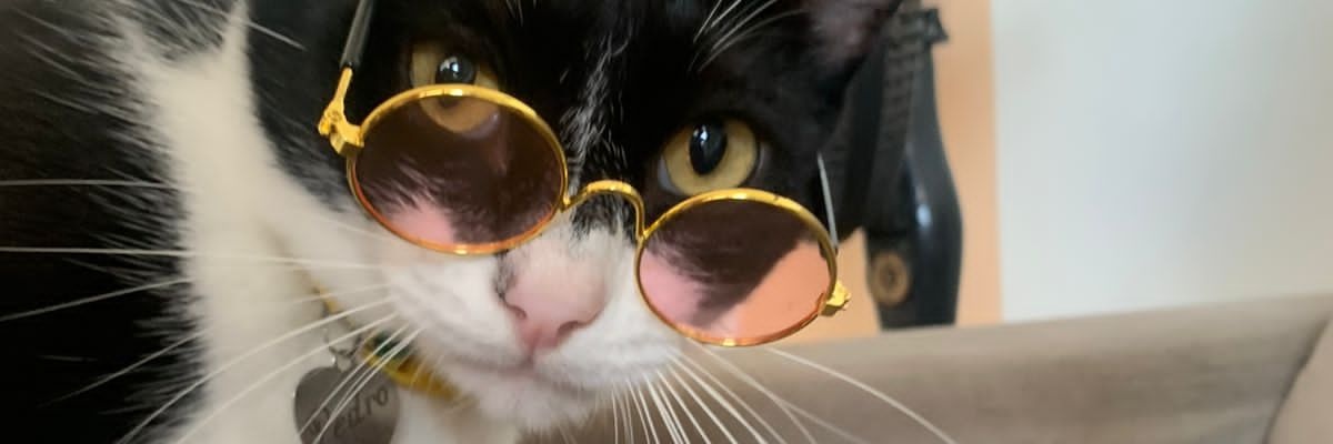 00Rapha's profile banner image