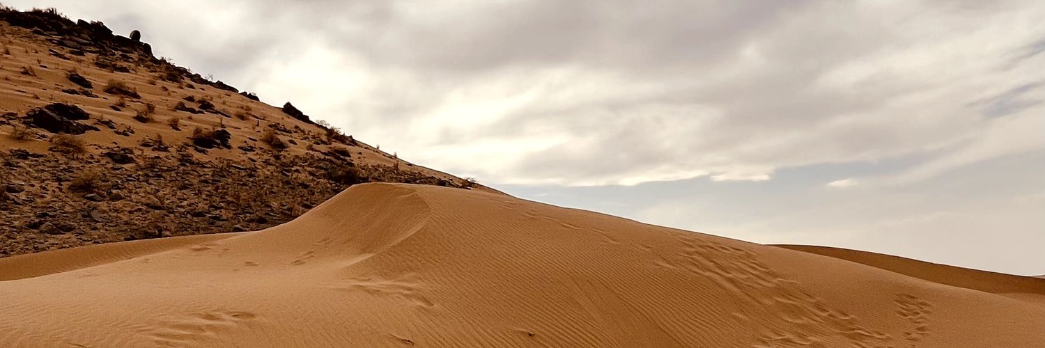 Sina Fattahzadeh banner