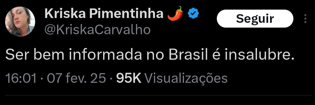 Camarada Aranha banner