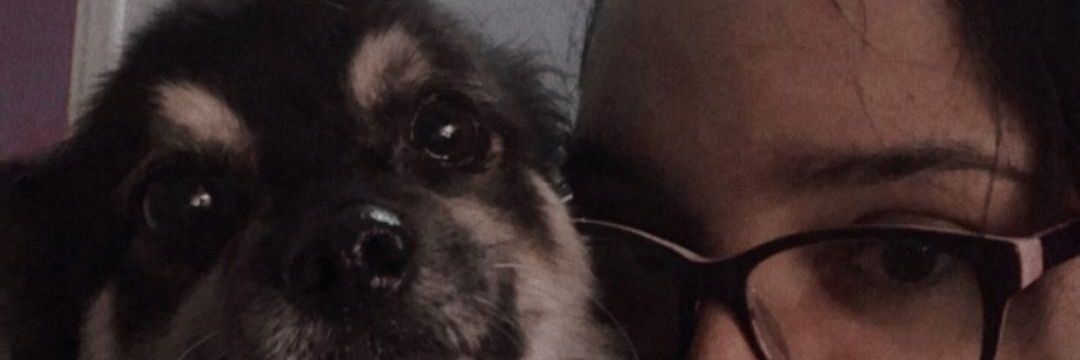 walterlegui2's profile banner image