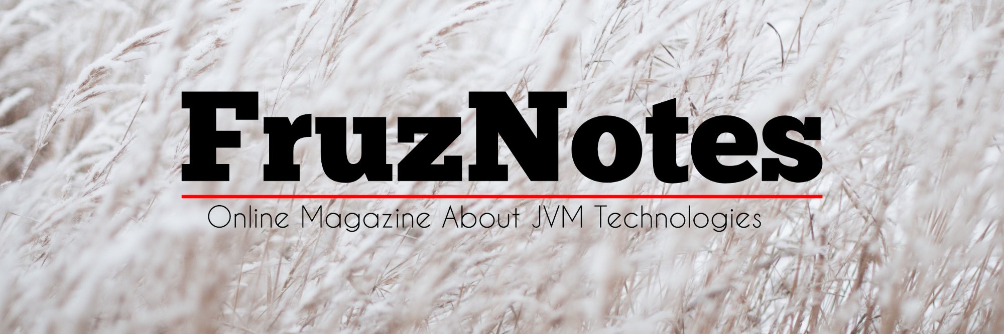 FruzNotes's profile banner image