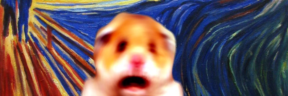 megannnryan's profile banner image