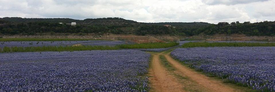 jkhende's profile banner image