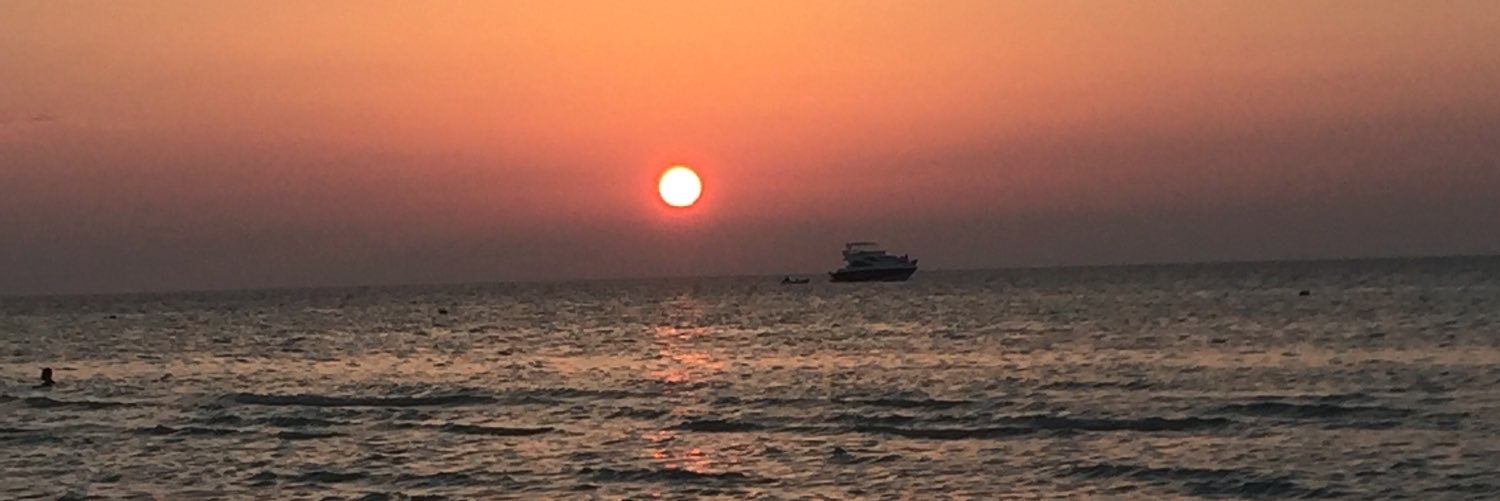 Limankian's profile banner image