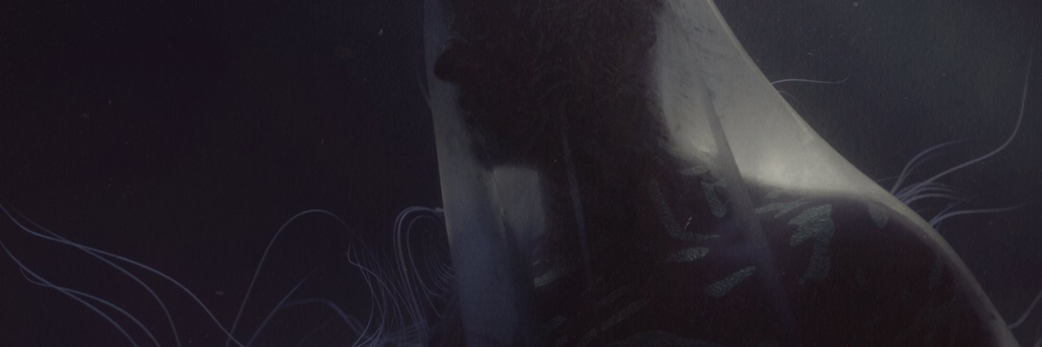 limbicvoid's profile banner image