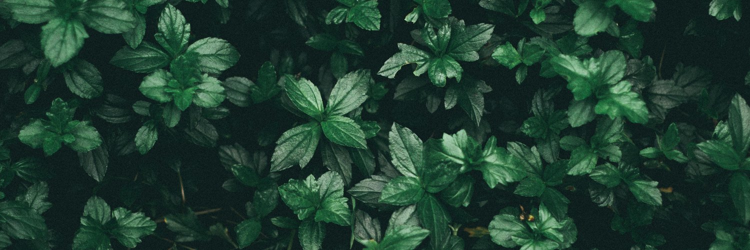 decryptable1337's profile banner image