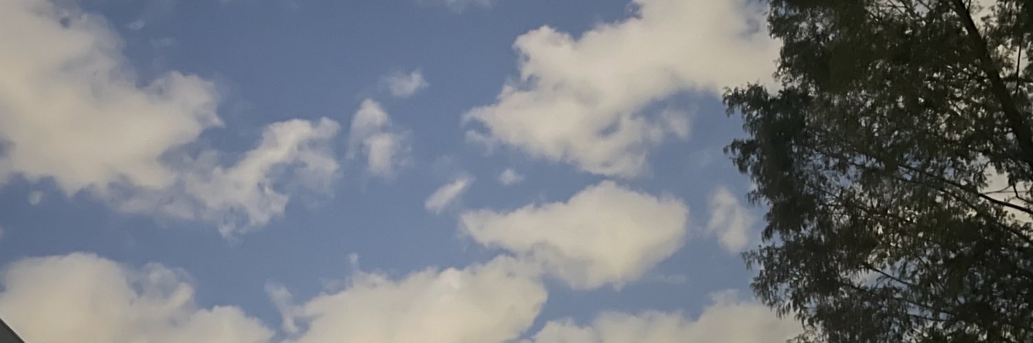jiny1's profile banner image