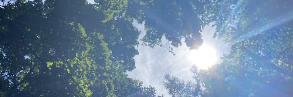 cq_sakura_s Profile Banner