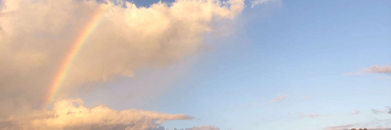 LorenaValcarc's profile banner image