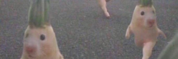 楽観的虚無主義 banner