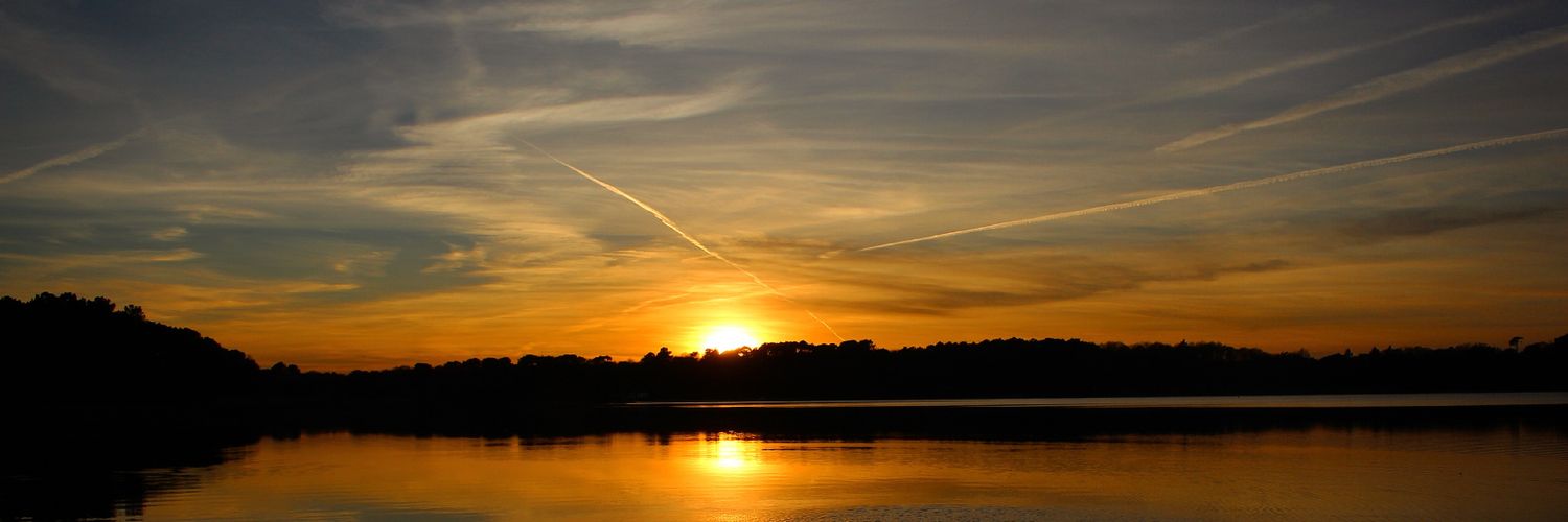 guyguy5641's profile banner image