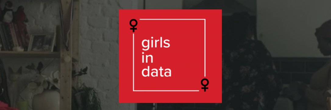 Girls in Data banner