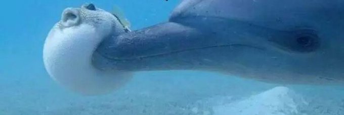 거미인간상태 banner