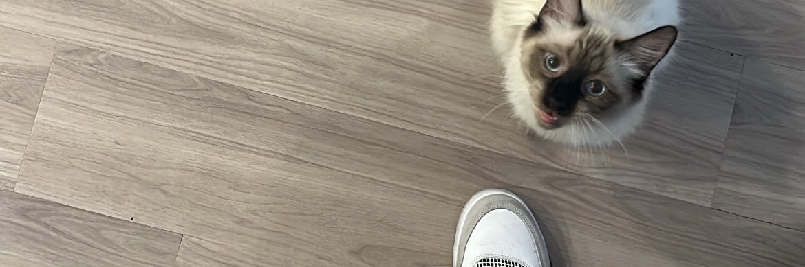Cnasty1k's profile banner image