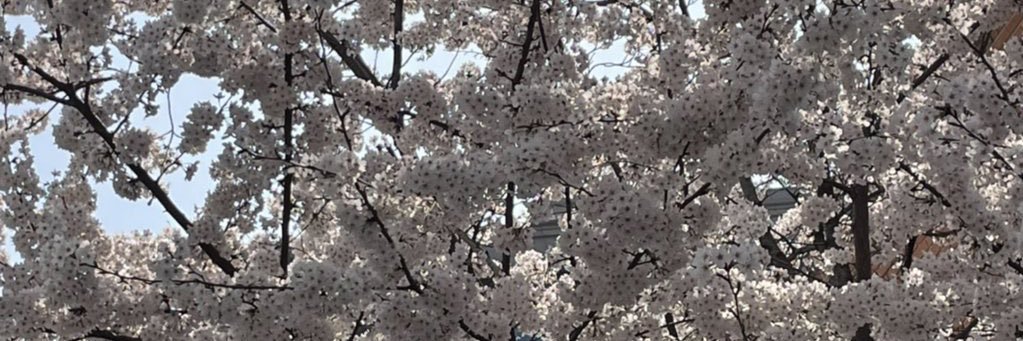 wonheon_'s profile banner image