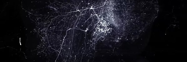 VCARScience Profile Banner