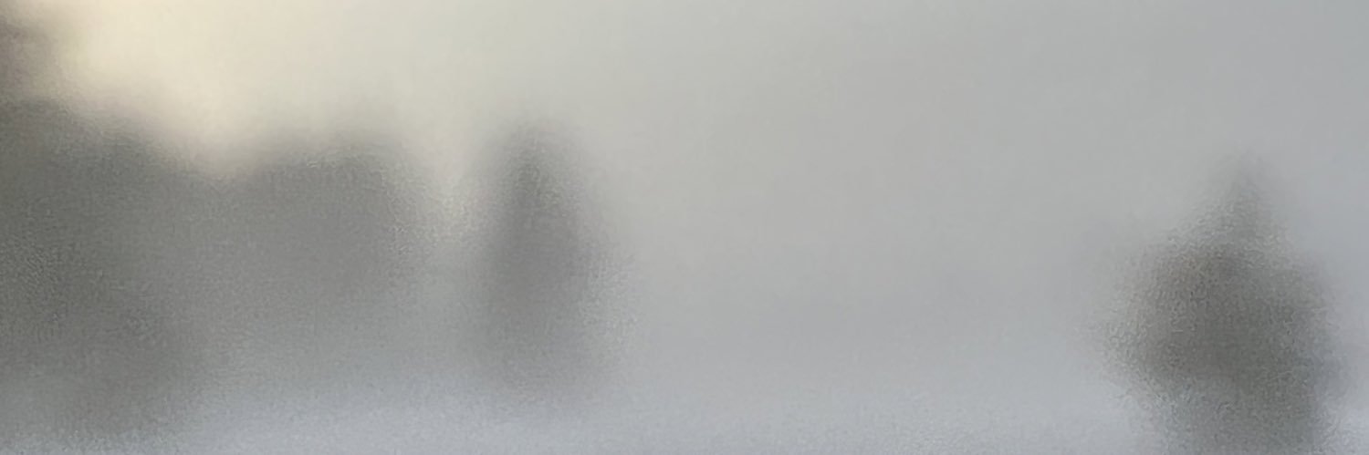lissarenee_'s profile banner image