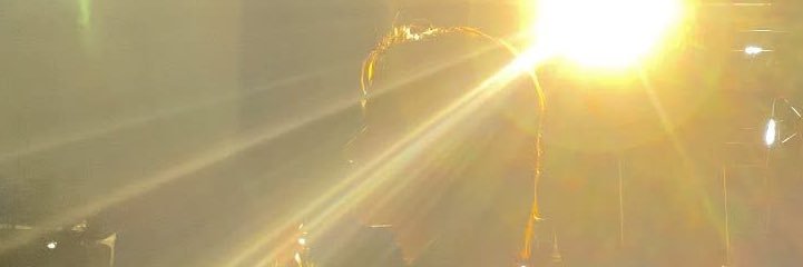bEe banner