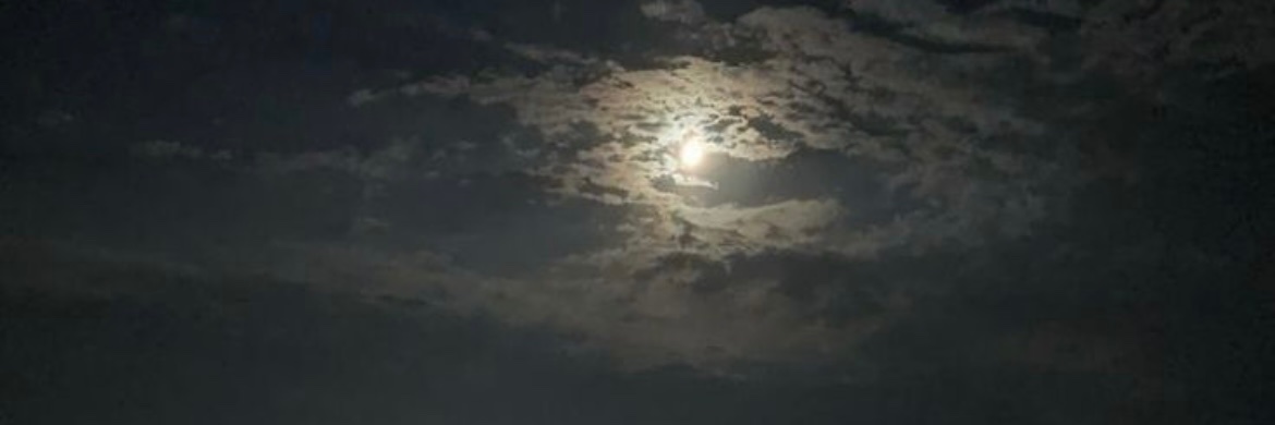 pivvendynk's profile banner image