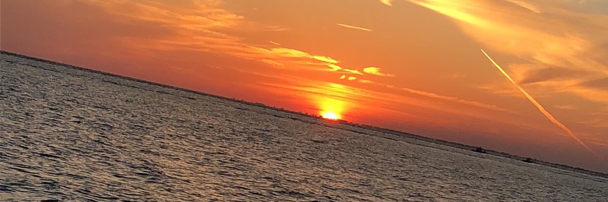 allyrug's profile banner image