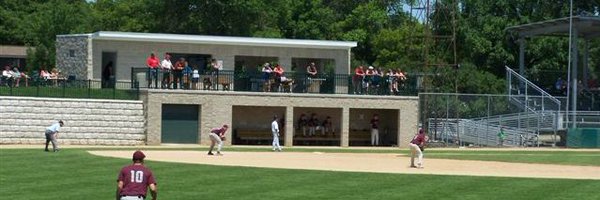 BirdBullfrogs Profile Banner