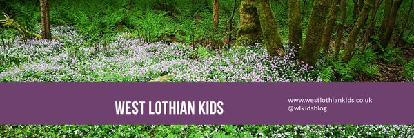 wlkidsblog Profile Banner