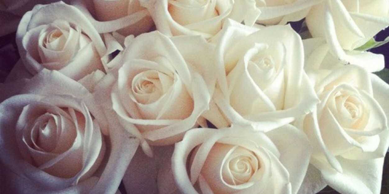 aimeeetyndall's profile banner image