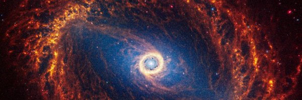 NobleWolf8x Profile Banner