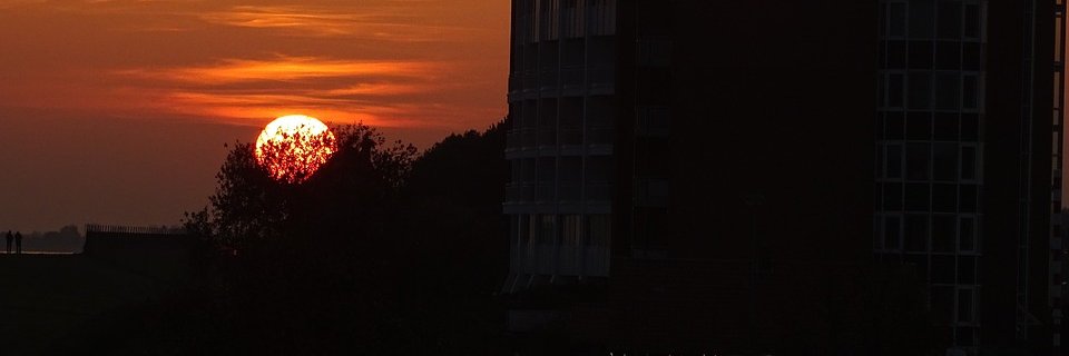 WHV_Blog's profile banner image