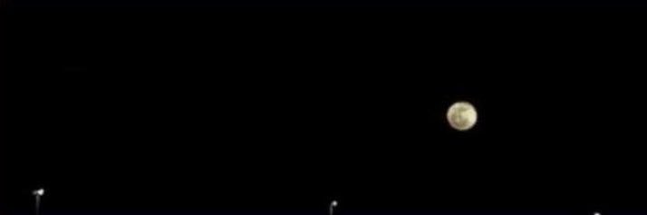 lvic7_'s profile banner image