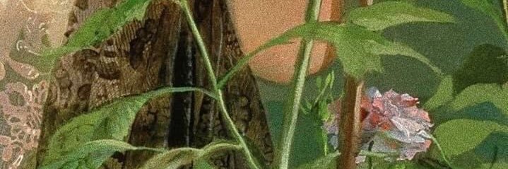 DeadBunnni's profile banner image