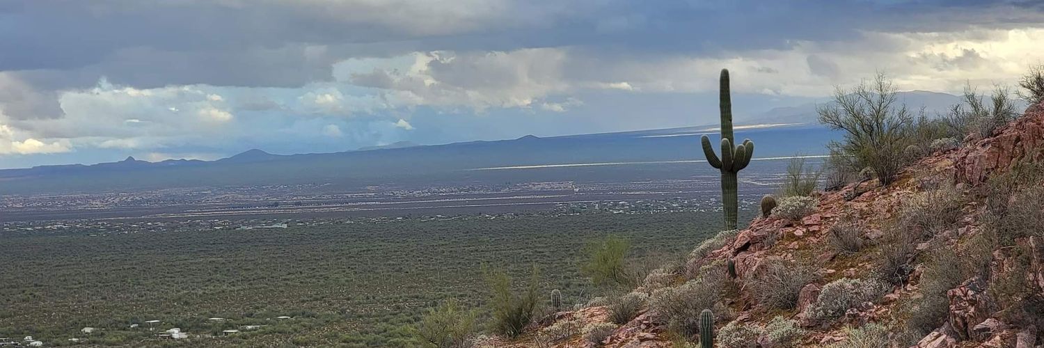 Sara McKinney is Querying banner