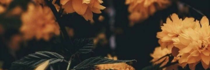 f3rn4nd404's profile banner image