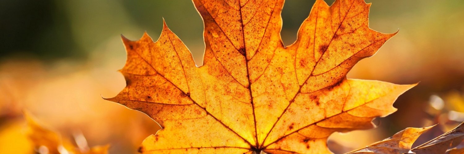 SharronSpicher's profile banner image