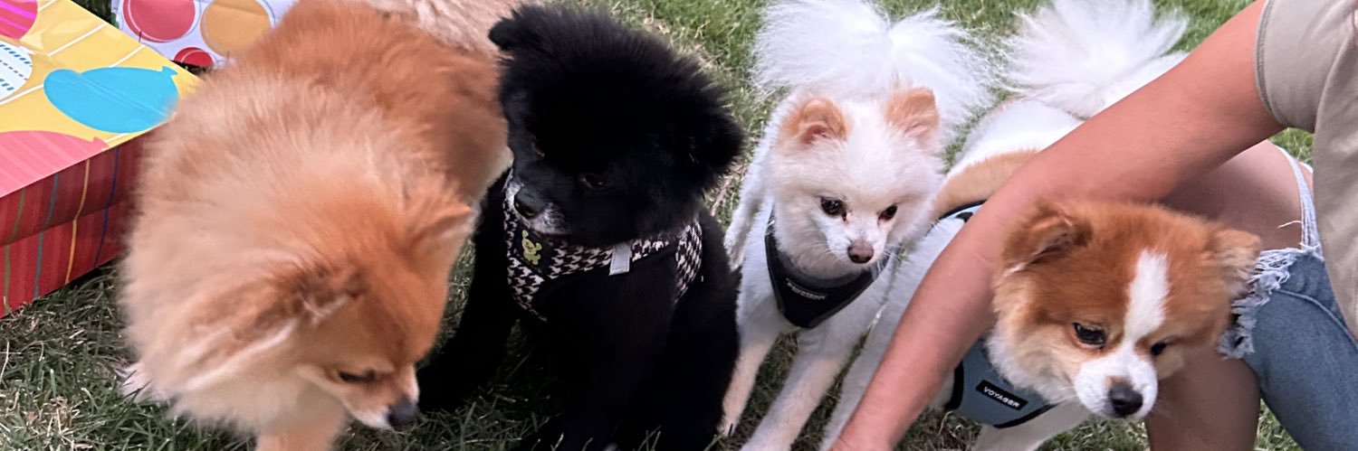 usedtoloveamerica banner